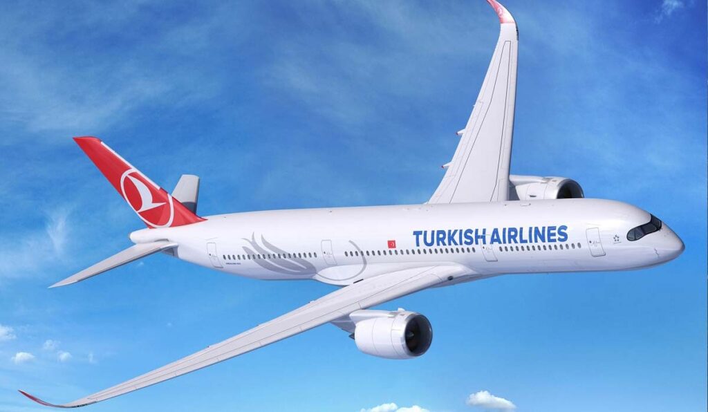 سفر به آفر‌یقای جنوبی با هواپیمایی ترکیش
