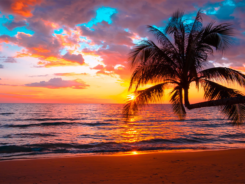 بلیط هواپیما بوشهر