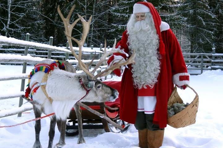 تور-گرجستان-ویژه-کریسمس-2026-هتل-ارزان-قیمت-تفلیس-زمینی-و-هوایی-مجری-مستقیم