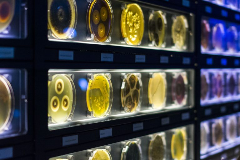موزه میکروب شناسی در آمستردام