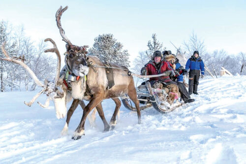 شفق قطبی, اسکیموها, سورتمه سواری با سگ, گوزن شمالی, مناظر برفی قطب شمال
