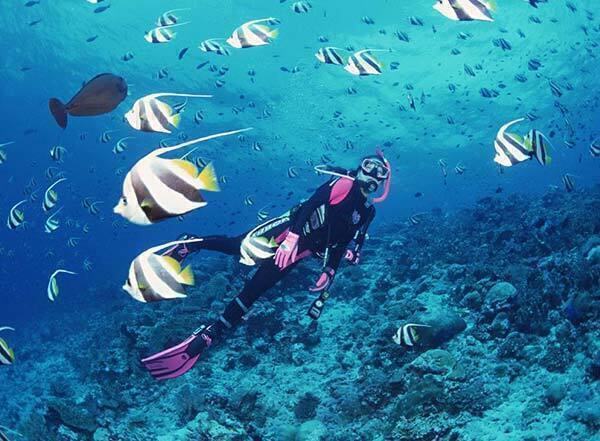  رزرو و خرید تور کیش هتل سان رایز با خدمات کامل و گشت جزیره بهمراه پرواز چارتری و منوی بوفه آژانس هواپیمایی آریا اوج پروا 