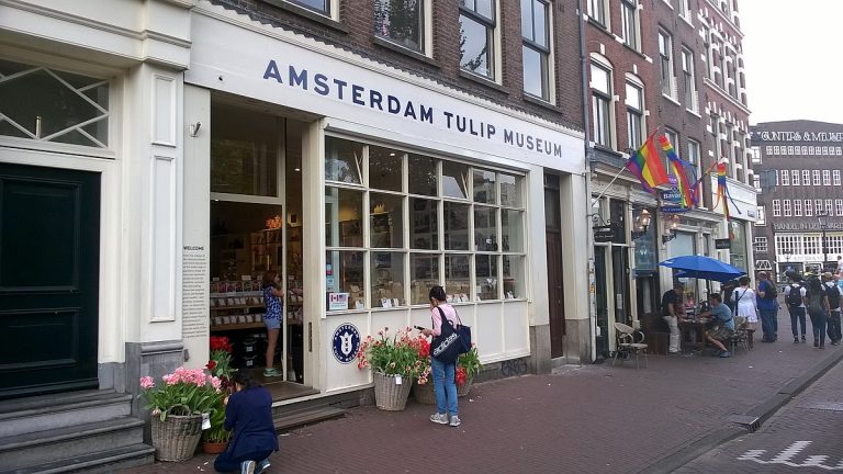 موزه گل لاله آمستردام