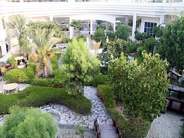 عکس فضای سبز هتل هلیا کیش