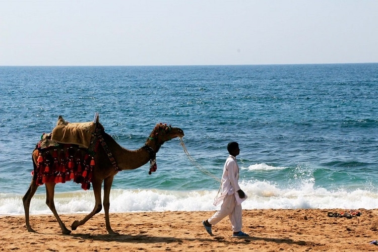  تور چابهار ارزانترین قیمت هوایی اقامت در هتل های ساحلی 