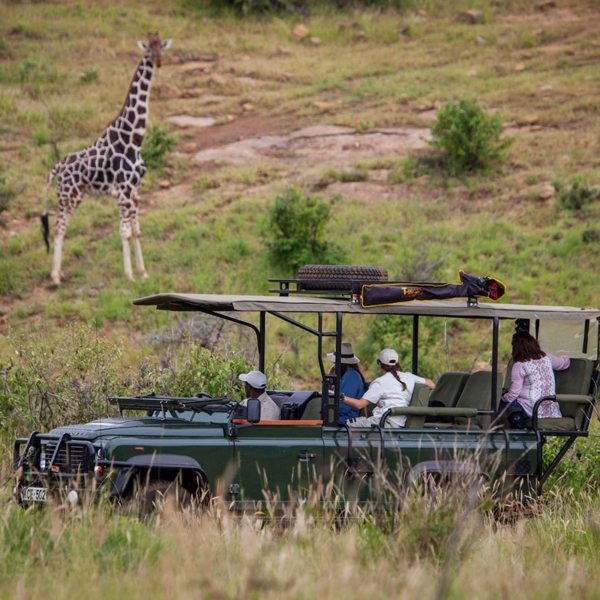  Kenya_CentralLaikipia_tours-travel-ElewanaLoisabaTentedCampGameDrive1-600x600 