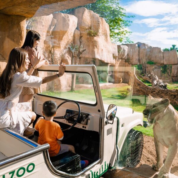 تور-جزیره-بالی-نوروز-1405-با-پرواز-ماهان-و-امارات-اقامت-در-هتل‌های-آل-و-یوآل-کارگزار-مستقیم-آژانس-آریا-اوج-پرواز